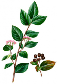 ��������� ���������