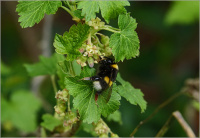 ��������� ������