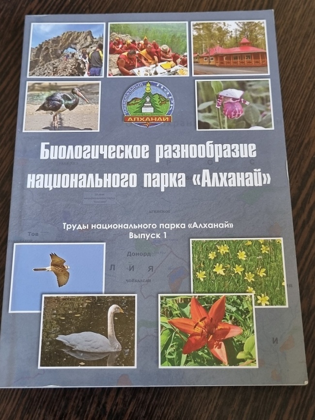 ������������� ������������ ������������� ����� "�������"