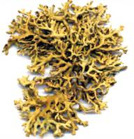 �������������� ����������, �������������� ����������, �������������� ��������