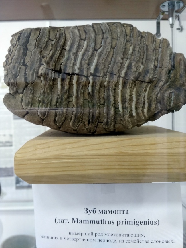 ��� �������