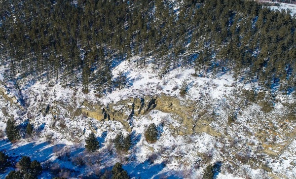 ��������� �������� (�������� ����)