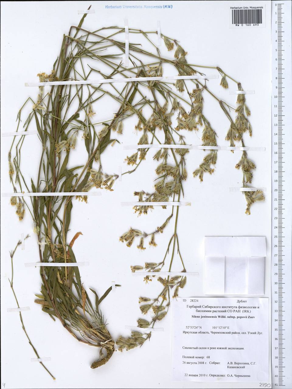 �������� ������