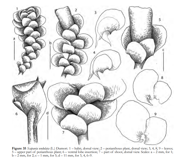 �������� ���������