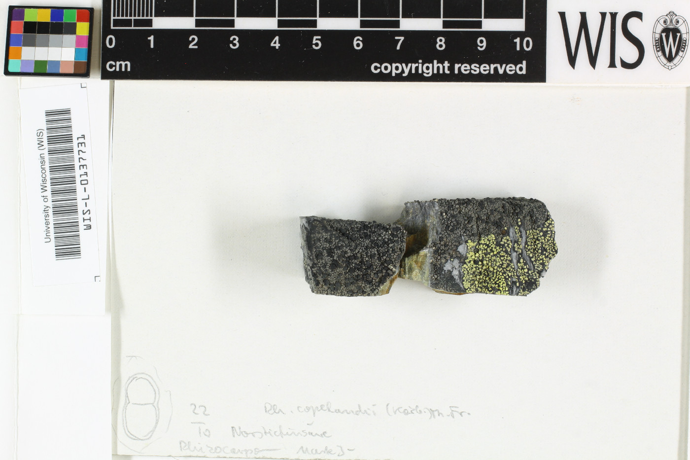 ���������� ���������