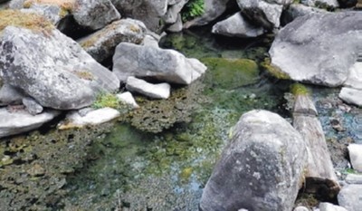 ���������-���������� ��������