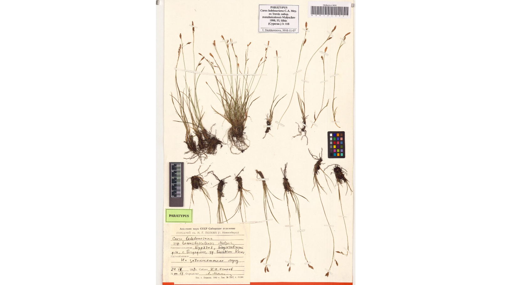 ����� �������������