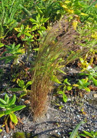 �������� ������������