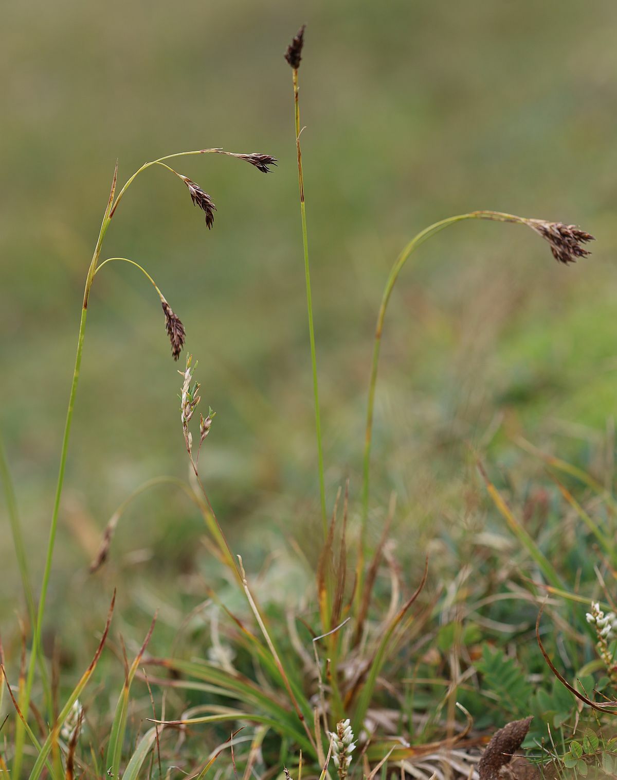 ����� ���������������