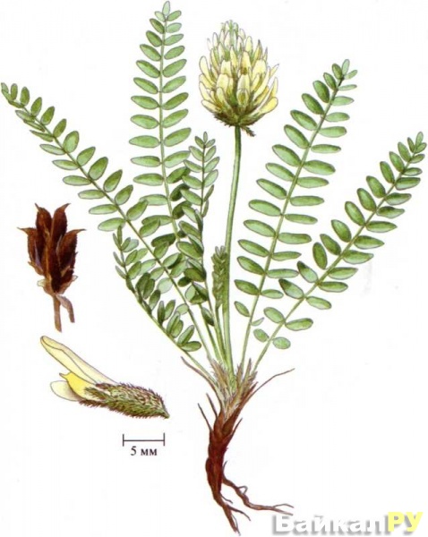 ������������� ����������������