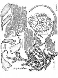 ��������� ����������