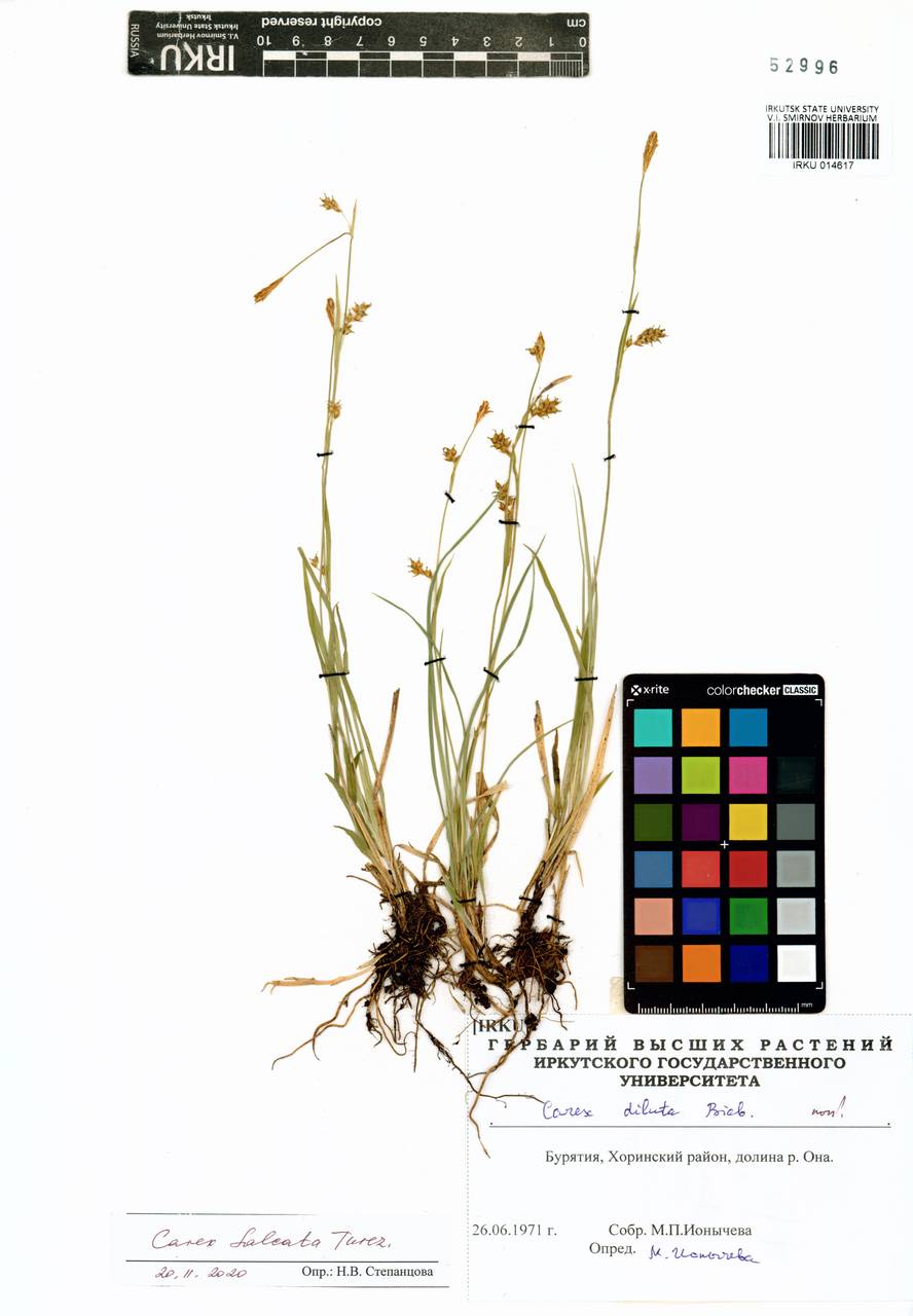 ����� �����������