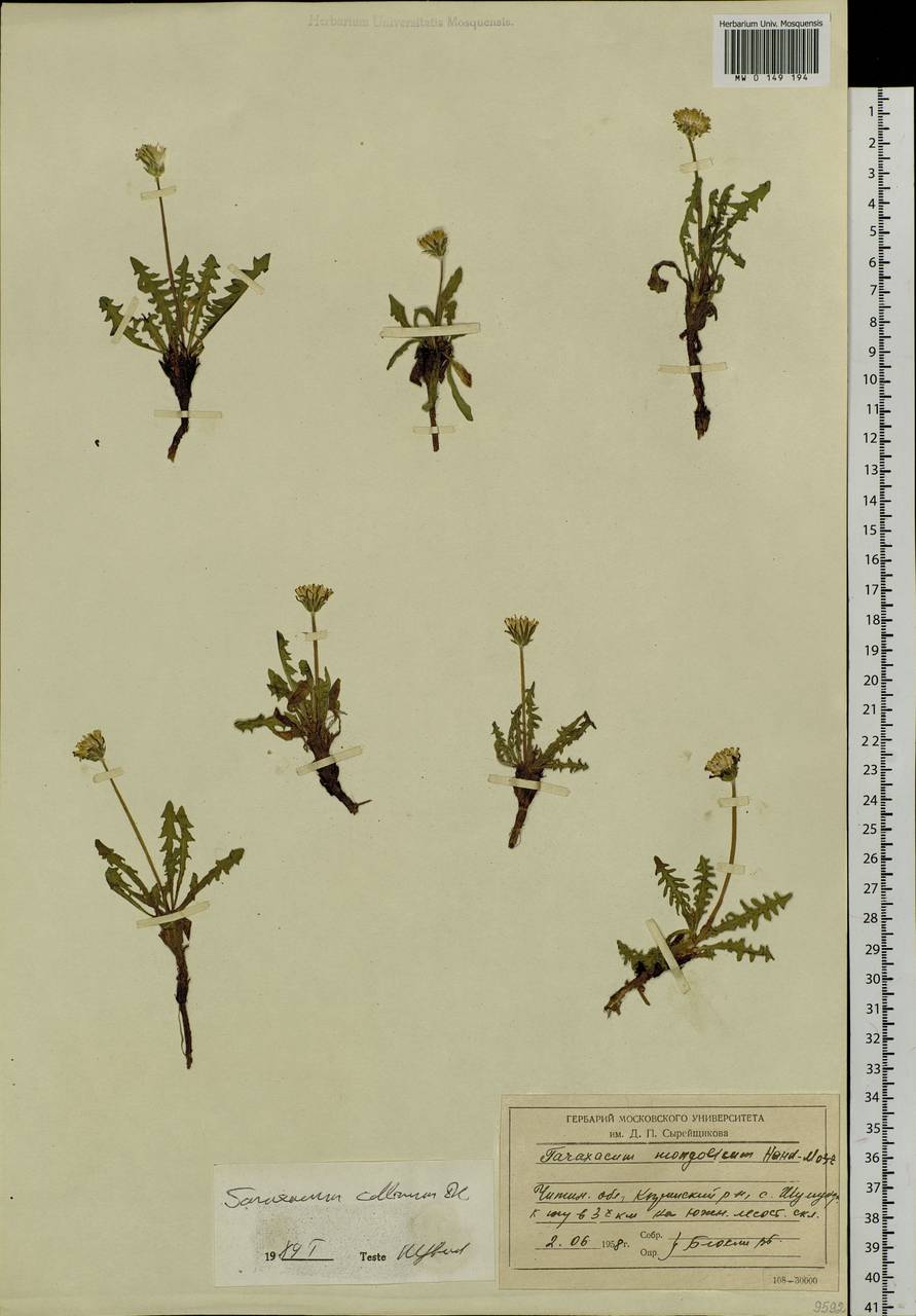 ��������� ��������