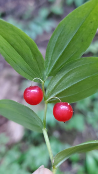 ���������� �����������������