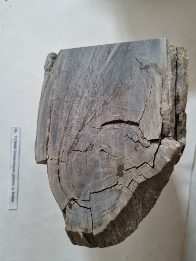 ������ ����������