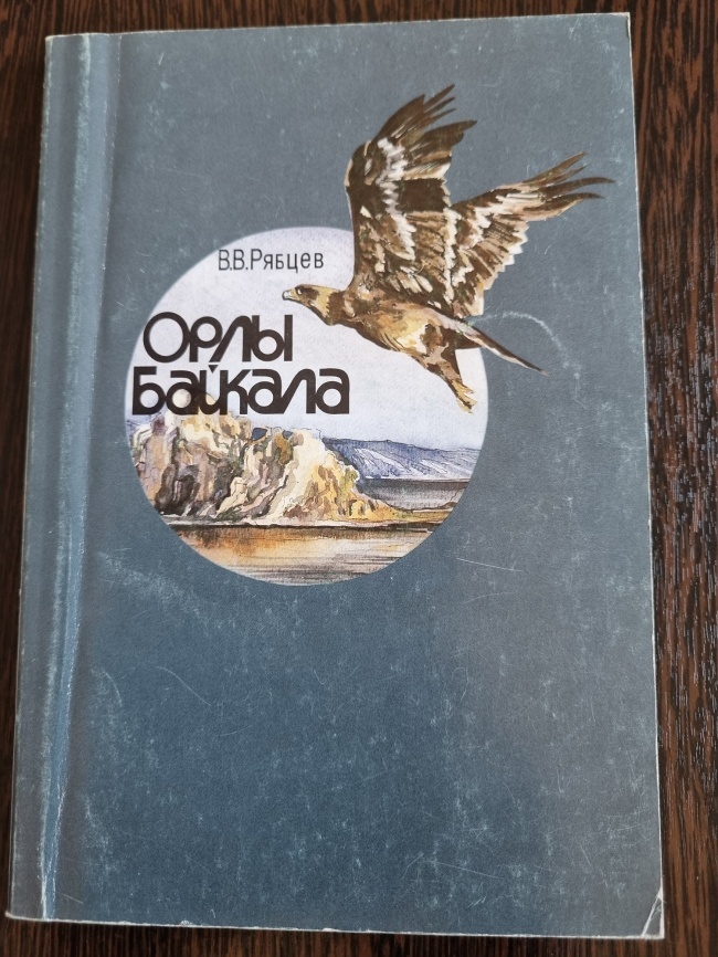 ���� �������