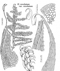 ��������� ������������