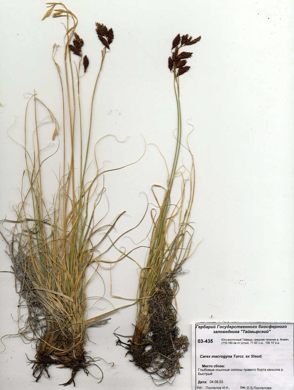 ����� ����������������