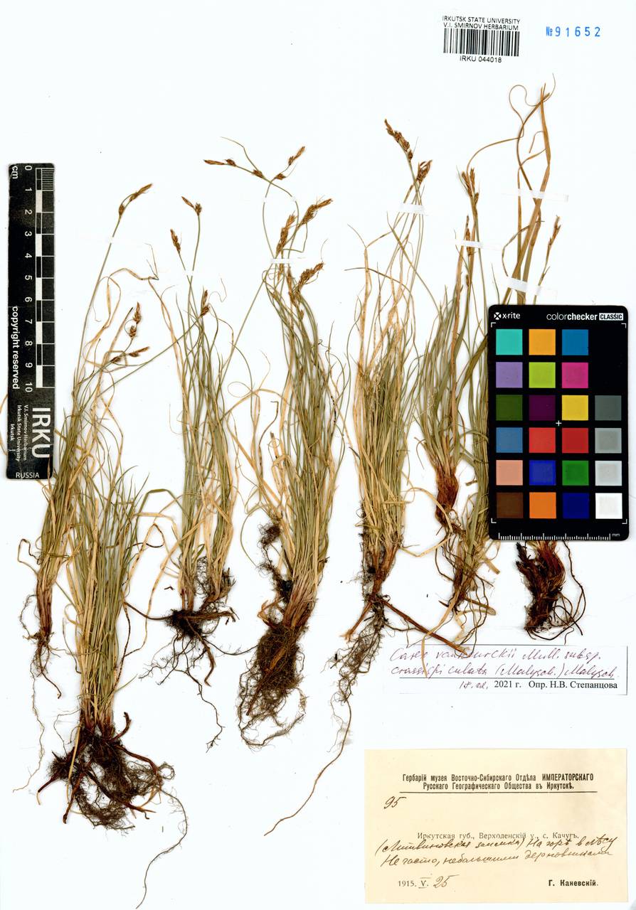 ����� ����������������