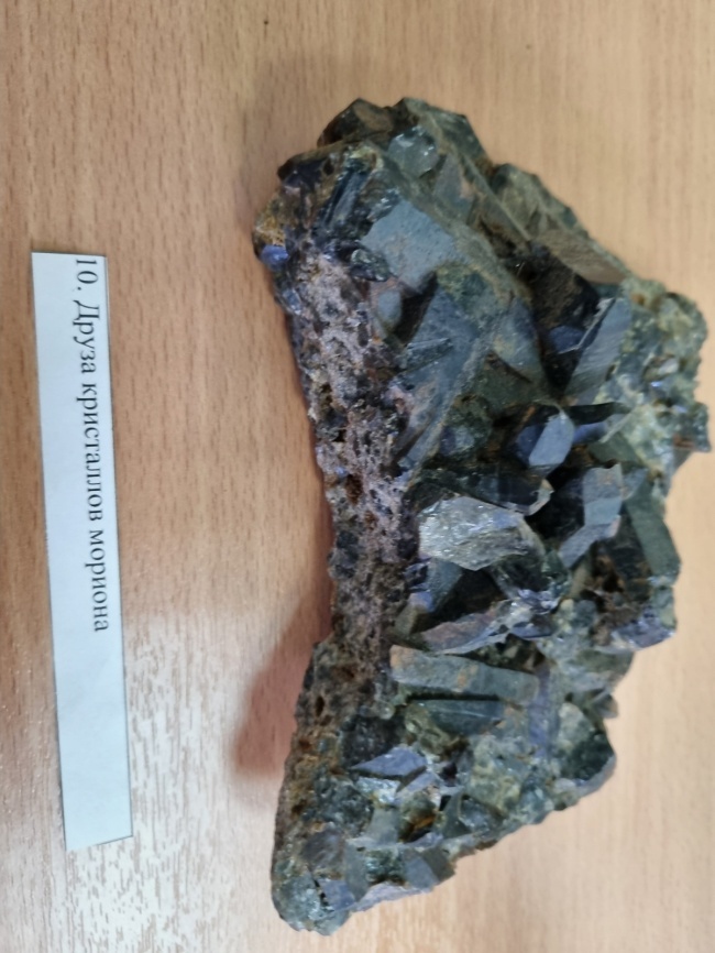 ����� ���������� �������