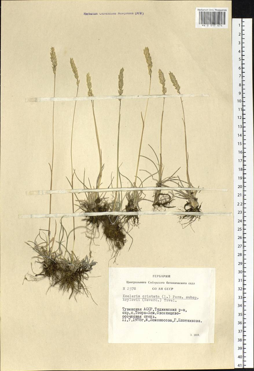 �������� �������