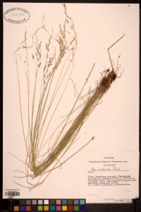 ������ ���������