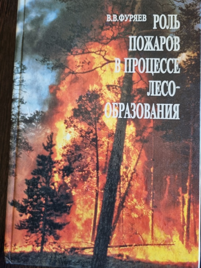 ���� ������� � �������� ���������������