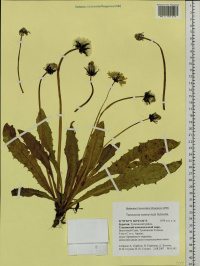 ��������� ���������