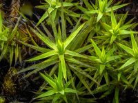 ���������� ������