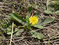 ��������� �����������