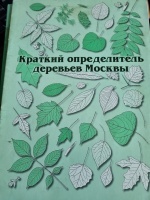 ������� ������������ �������� ������