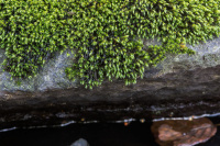 ���������� ������