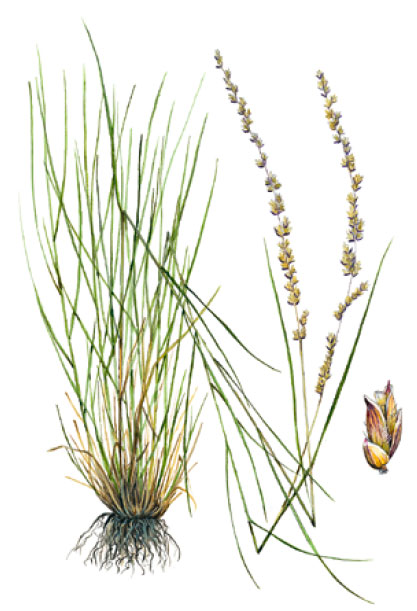 ��������� ������������