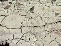 ���������� �������-�����