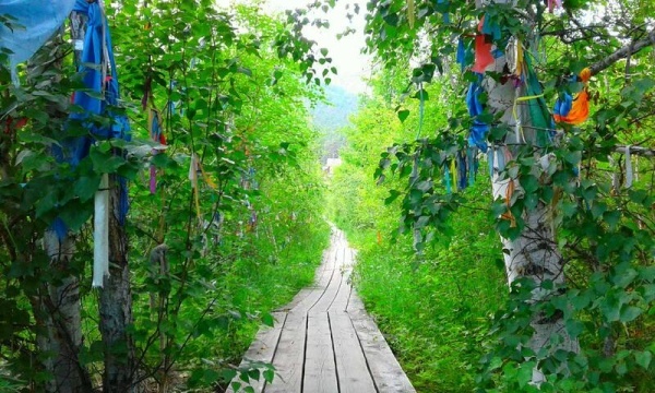 ����������� ���������