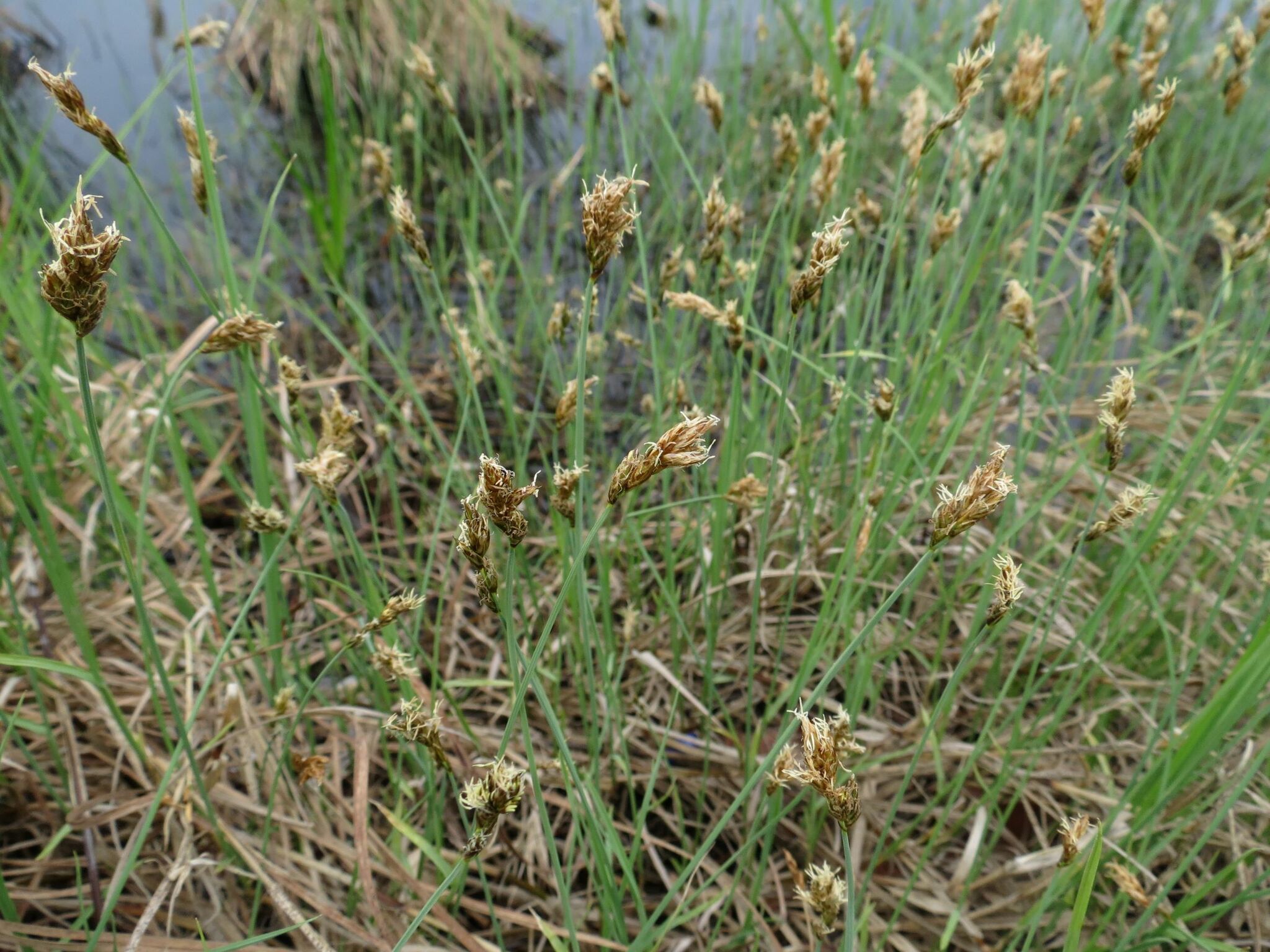 ����� ��������������