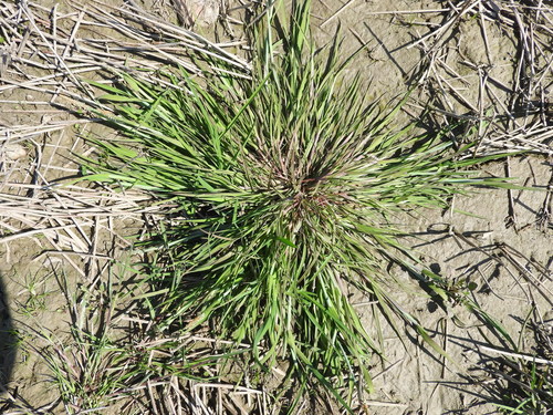 ��������� ������