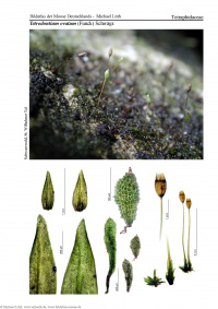 ������������ ����������