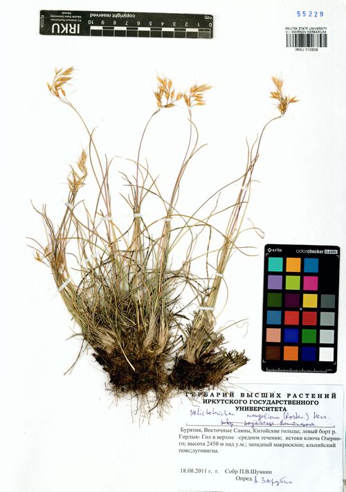 ��������������� �����������