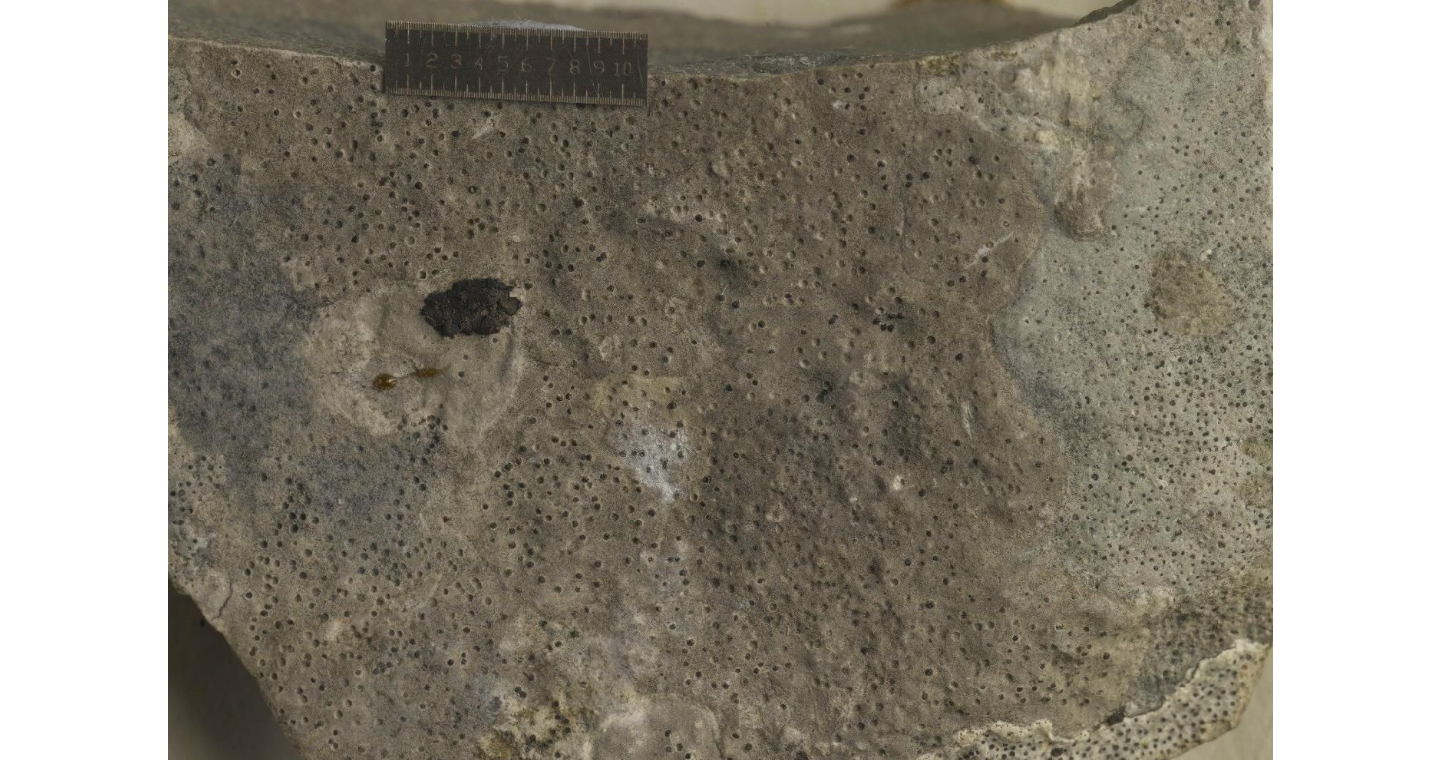 ���������� �������������