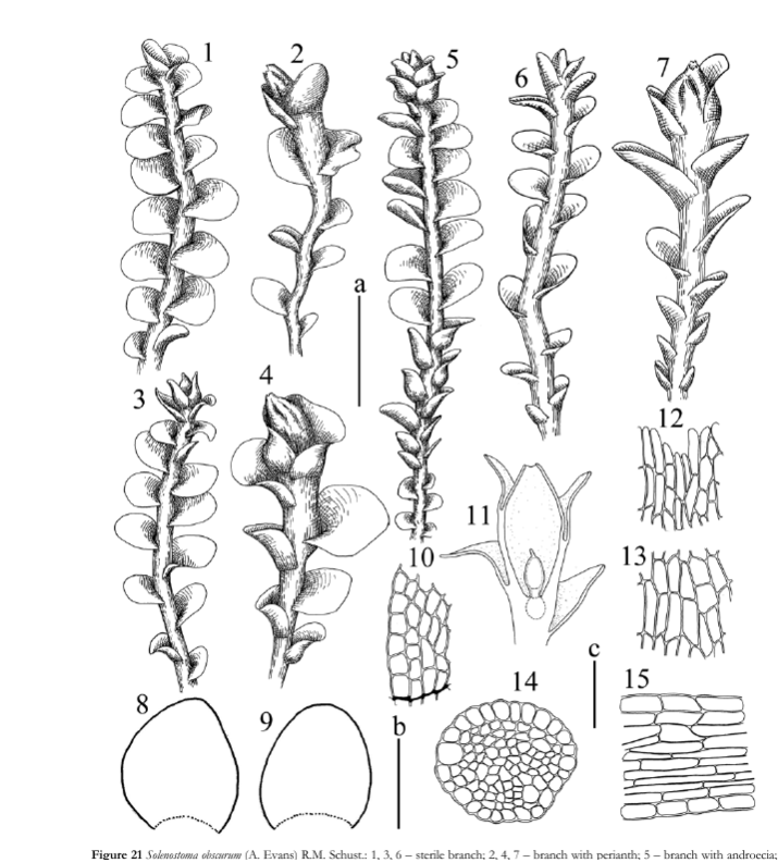 ����������� �����