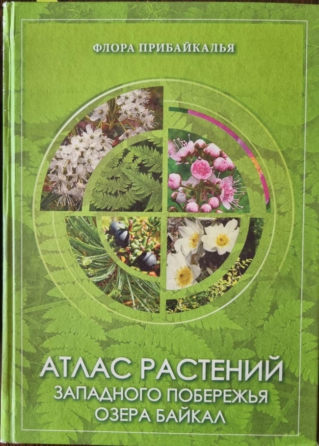 ����� �������� ��������� ��������� ����� ������, ���������� �.�.