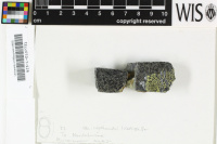 ���������� ���������