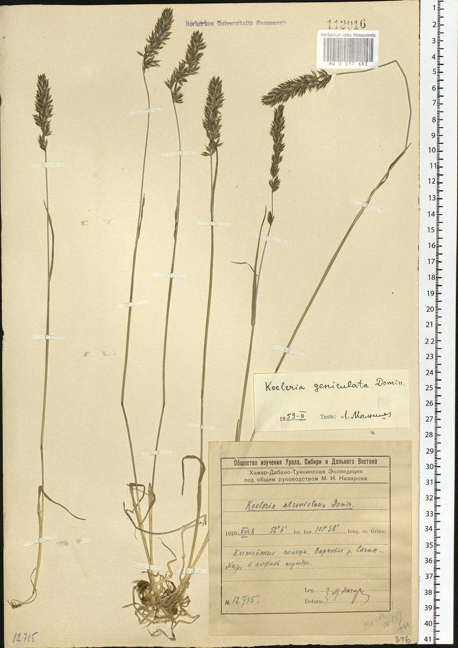 �������� ����������