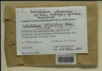 ���������� ������