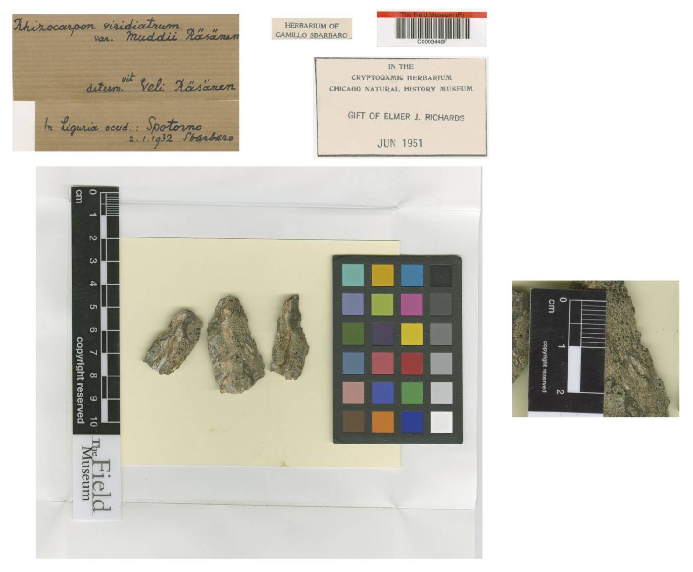 ���������� ����������-������