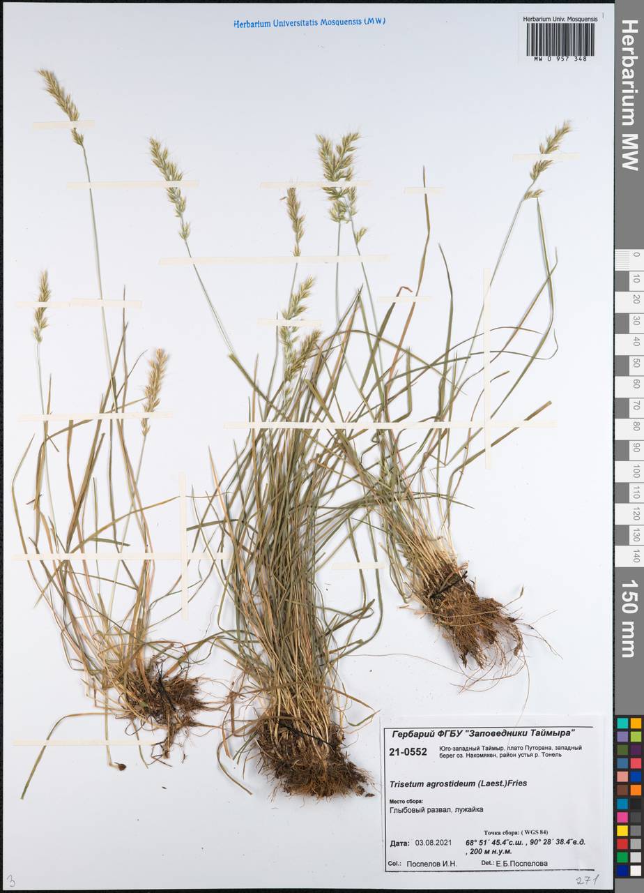 �������� �������������