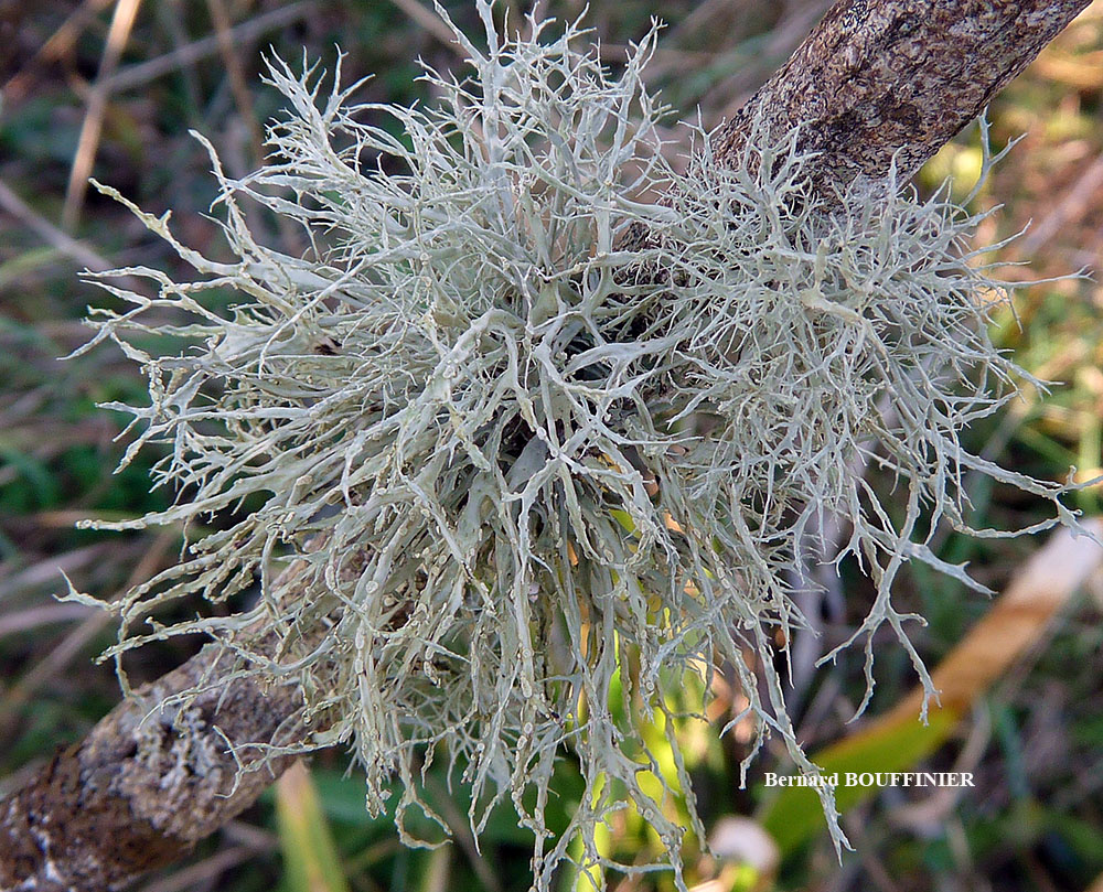 �������� ���������