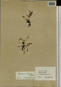 ��������� ��������