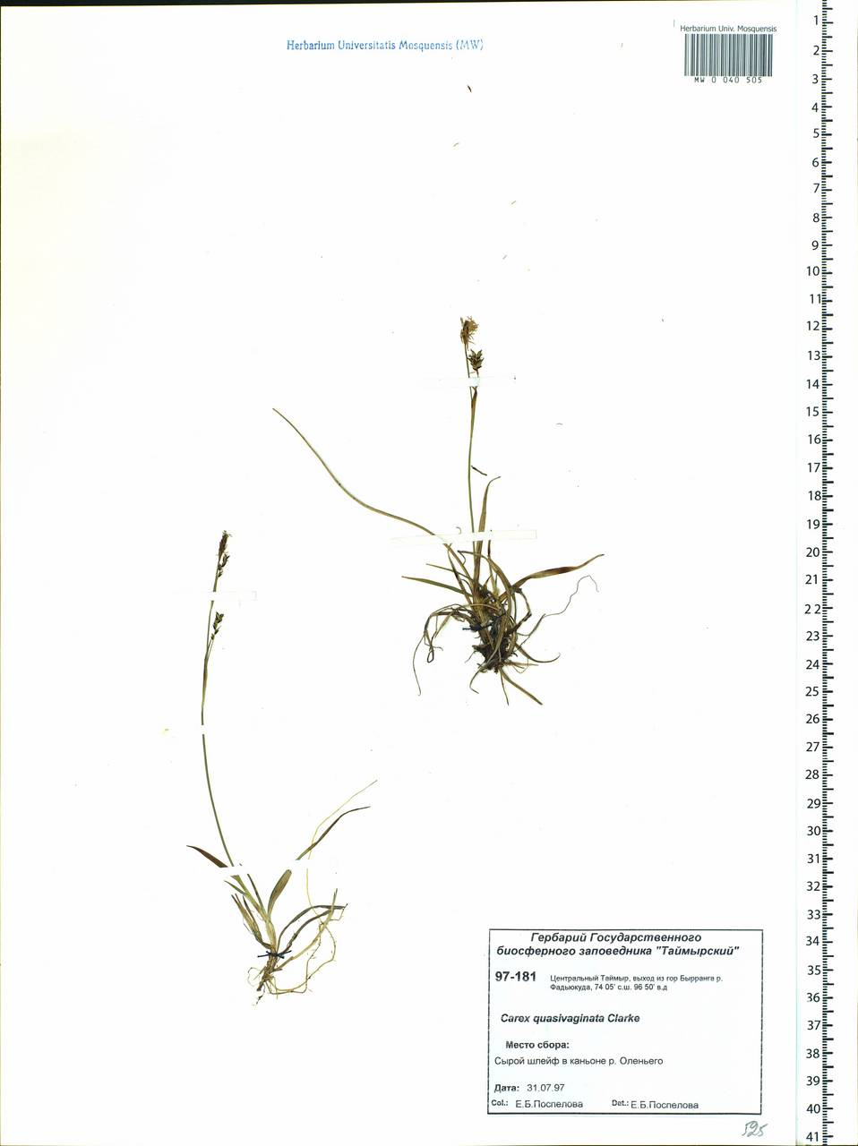 ����� ���������������